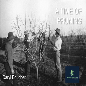 A TIME OF PRUNING