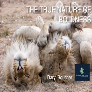 True Nature of Boldness