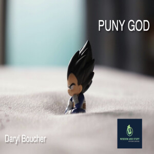 PUNY GOD