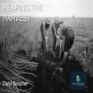 REAPING THE HARVEST