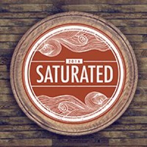Saturated 2016 - Wednesday: Pastor Ryan Kwon