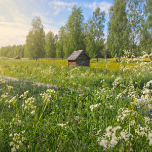 #75 Flyttströmmar på landsbygden i norra Sverige från 1850 och framåt - med Samuel Sundvall