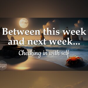 Between this week and next week - checking in with self