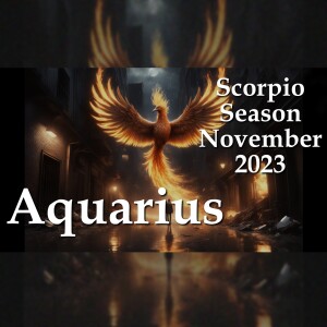 Aquarius - Scorpio Season November 2023 - Out Of The Blind Spots
