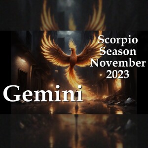 Gemini - Scorpio Season November 2023 - Hidden Leader