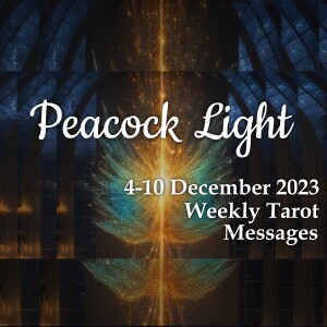 4-10 December 2023 Weekly Tarot Messages - Peacock Light