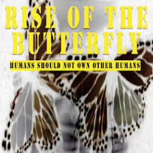GEMS with Curry Glassell "Rise of the Butterfly Art Meets Philanthropy" Podcast #309