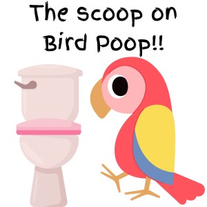 S2 E6 The Scoop on Bird Poop!