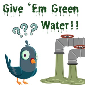 S1 E13 Give ’em Green Water!!!!!!