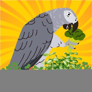 S2 E25 Microgreens For Your Birds
