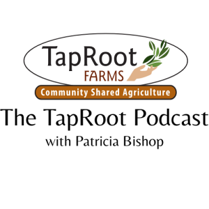 Episode 7: Tim Ansems