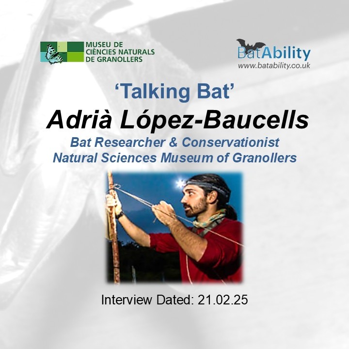 Talking Bat