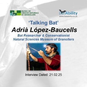 Talking Bat with Adria Lopez-Baucells (Researcher & Author)