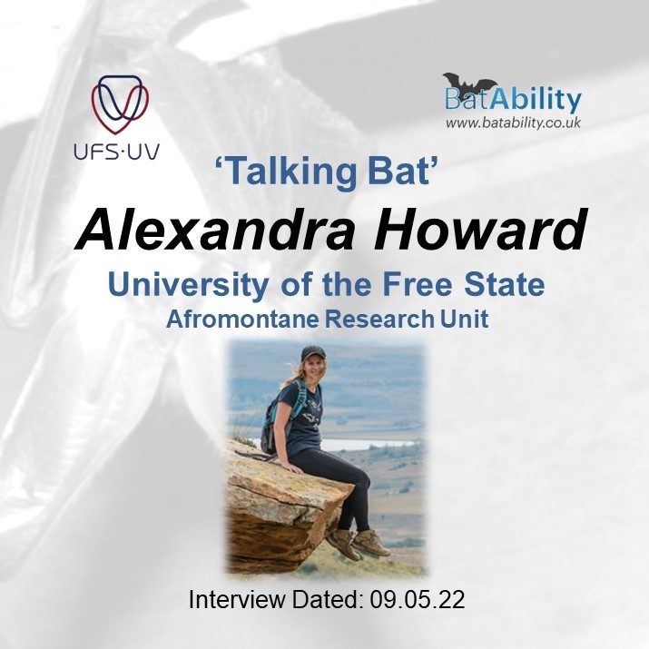 Talking Bat