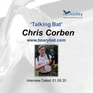 Talking Bat with Chris Corben (www.hoarybat.com)