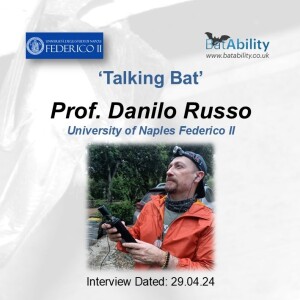 Talking Bat with Danilo Russo (Professor of Ecology)