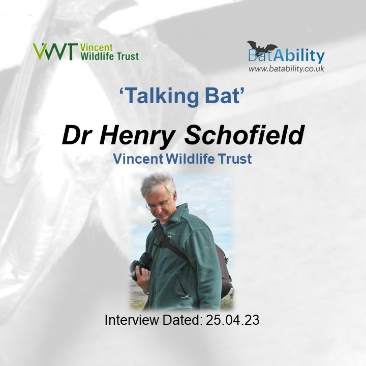 Talking Bat