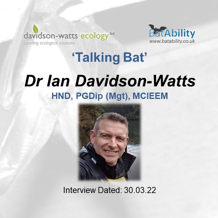 Talking Bat