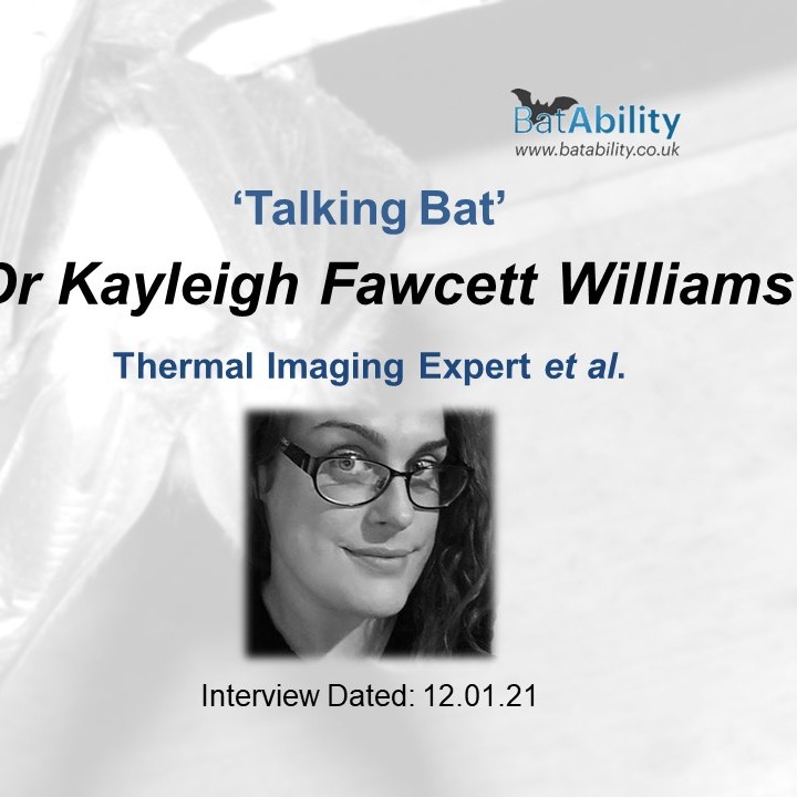 Talking Bat