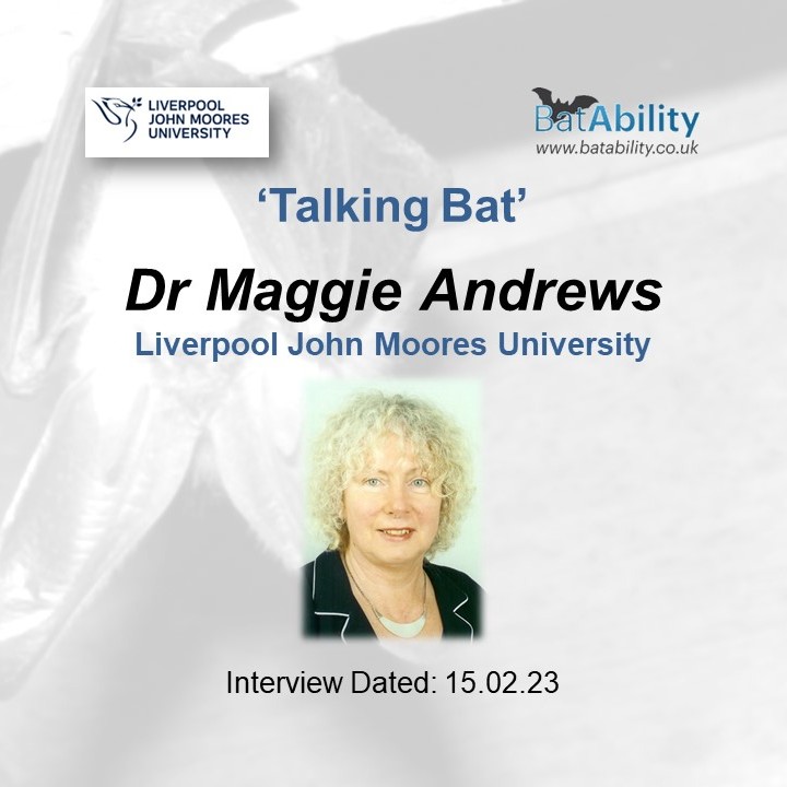 Talking Bat