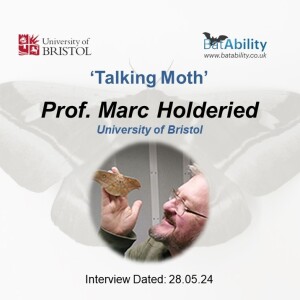 Talking Moth with Marc Holderied (Professor of Sensory Ecology)