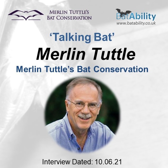 Talking Bat