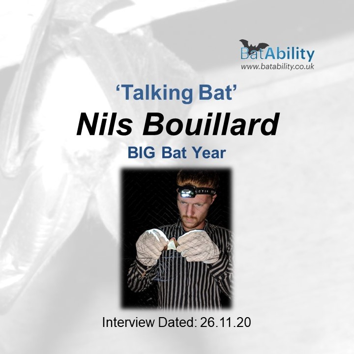 Talking Bat