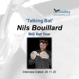 Talking Bat with Nils Bouillard (Big Bat Year)