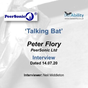 Talking Bat with Peter Flory (PeerSonic)