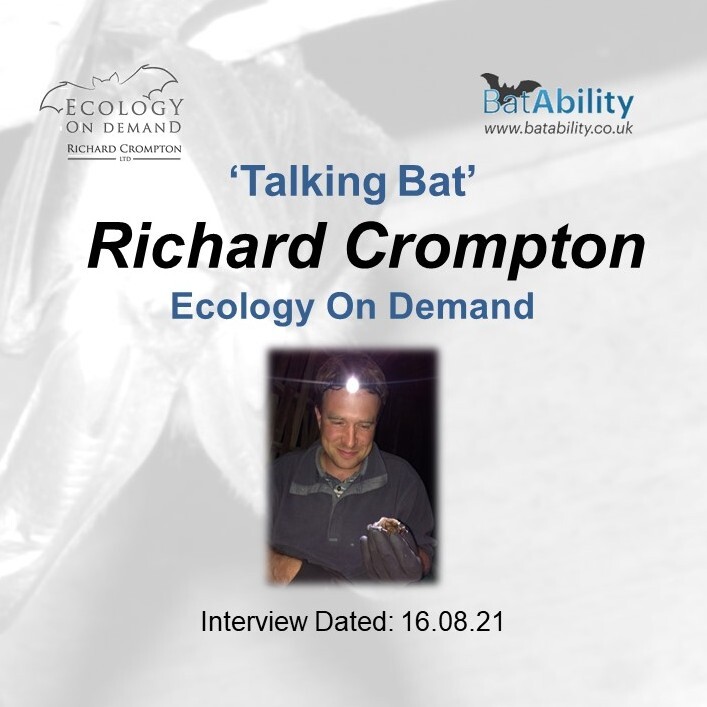 Talking Bat