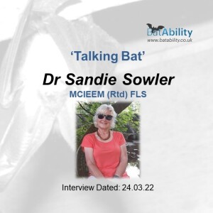 Talking Bat with Dr Sandie Sowler (Bat Researcher, Consultant & Trainer)