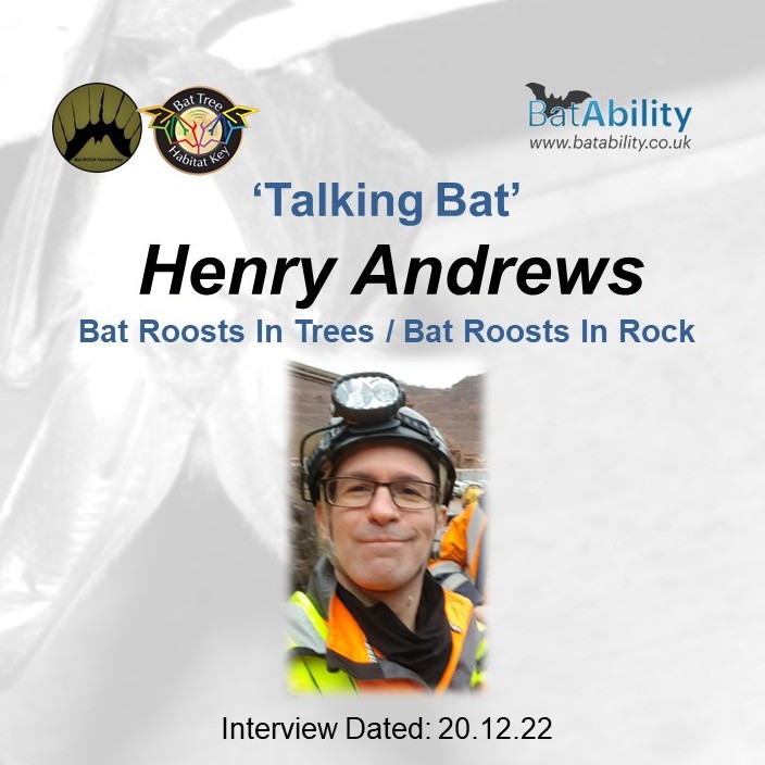 Talking Bat