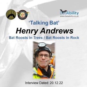 Talking Bat with Henry Andrews (Bat Roosts in Trees & Bat Roosts in Rock)