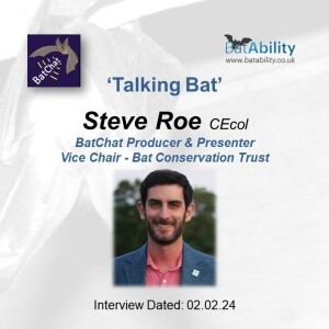 Talking Bat with Steve Roe (BCT Vice Chair & BatChat Podcaster)