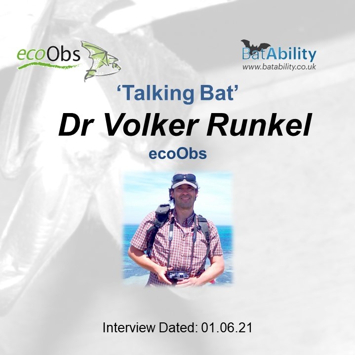 Talking Bat