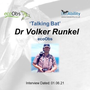 Talking Bat with Dr Volker Runkel founder of ecoObs