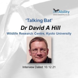 Talking Bat with Dr David Hill (Wildlife Research Centre, Kyoto University, Japan)