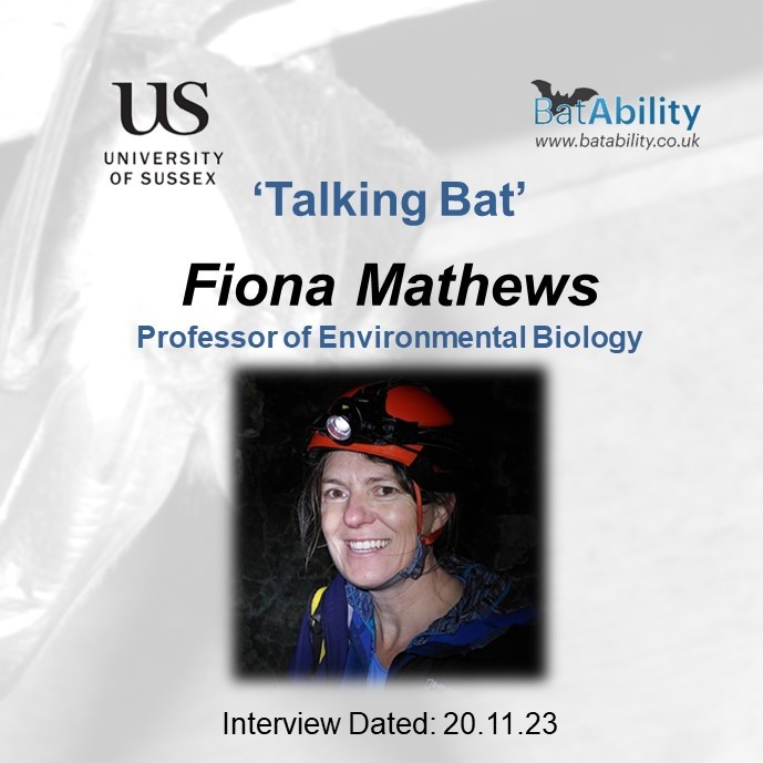 Talking Bat