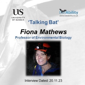 Talking Bat with Fiona Mathews (Professor of Environmental Biology)