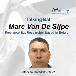 Talking Bat with Marc Van De Sijpe (Freelance Bat Researcher - Belgium)