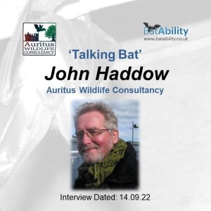 Talking Bat with John Haddow (Auritus Wildlife Consultancy)