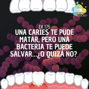 Una caries te puede matar...¡pero una bacteria te puede salvar! ¿O no?