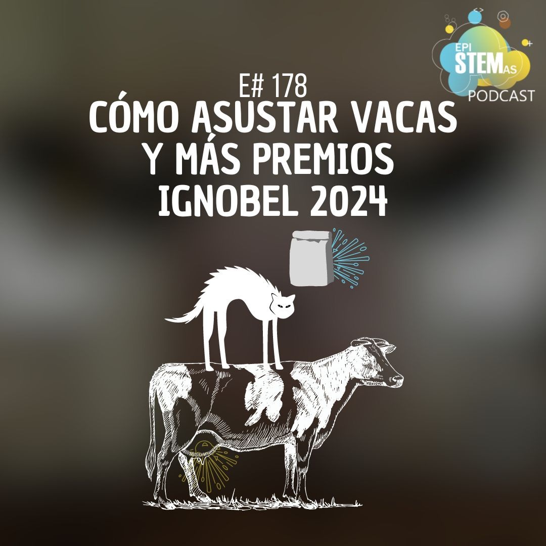 Cómo asustar vacas, ¡y más premios IgNobel 2024!