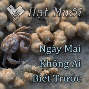 Ngày Mai Không Ai Biết Trước