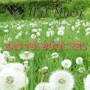 Sao Tôi Được Yêu