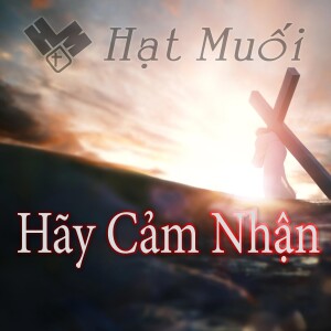 Hãy Cảm Nhận