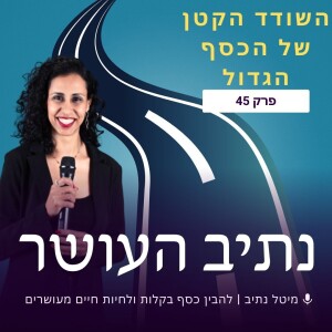 השודד הקטן של הכסף הגדול | פרק 45