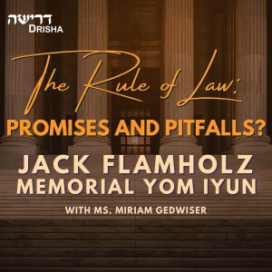 The Rule of Law: Promises and Pitfalls?