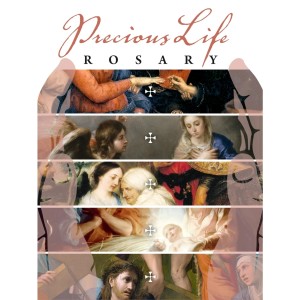 The Precious Life Rosary