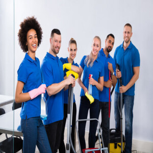 Do NDIS and Other Providers Offer the Same Spring Cleaning Services?